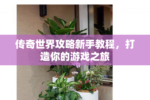 传奇世界攻略新手教程图片