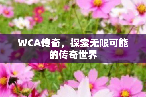 探索无限可能的传奇世界图片