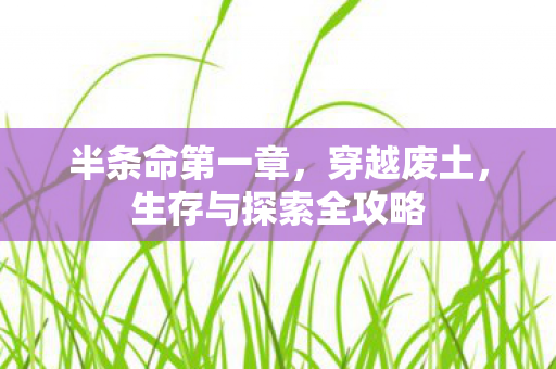 生存与探索全攻略图片