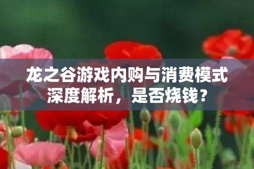 龙之谷游戏内购与消费模式深度解析图片