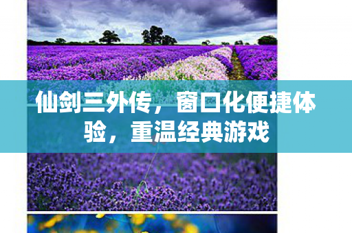 窗口化便捷体验图片