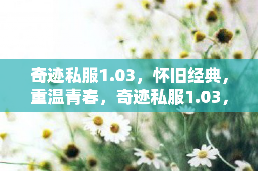 奇迹私服1图片