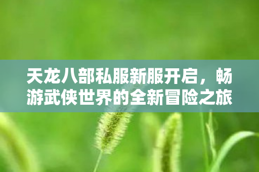 畅游武侠世界的全新冒险之旅图片