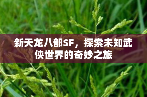 探索未知武侠世界的奇妙之旅图片