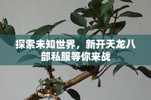 新开天龙八部私服等你来战图片