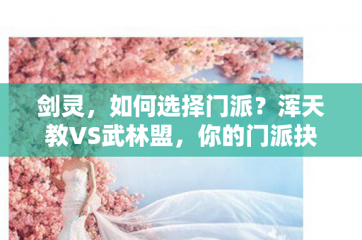 浑天教VS武林盟图片