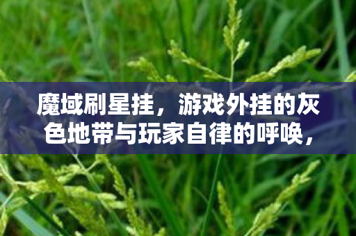 魔域刷星挂,游戏外挂的灰色地带与玩家自律的呼唤,魔域刷星挂,游戏外挂的灰色地带与玩家自律的呼唤 魔域刷星挂,游戏外挂的灰色地带与玩家自律的呼唤,魔域刷星挂,游戏外挂的灰色地带与玩家自律的呼唤