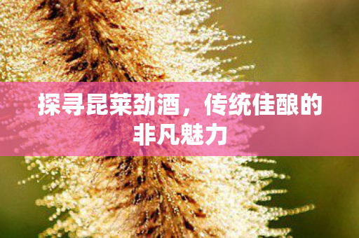 传统佳酿的非凡魅力图片