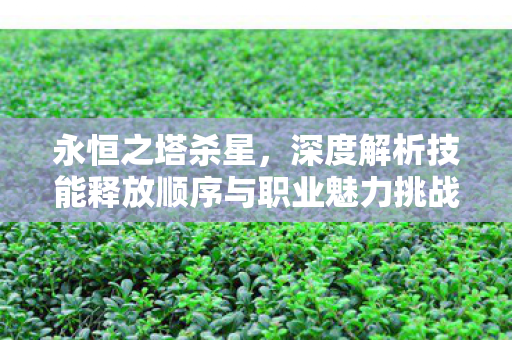 深度解析技能释放顺序与职业魅力挑战图片
