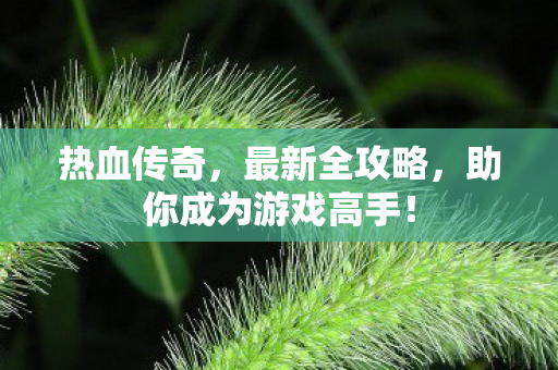 助你成为游戏高手图片