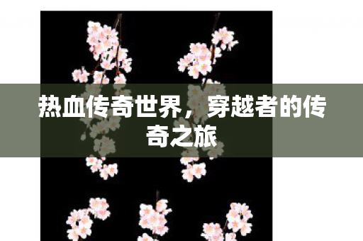 穿越者的传奇之旅图片