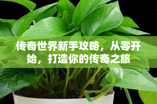 传奇世界新手攻略图片