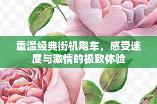 感受速度与激情的极致体验图片