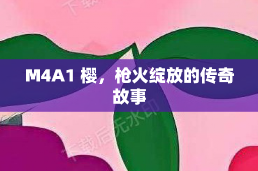 枪火绽放的传奇故事图片