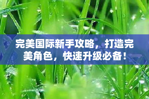 完美国际新手攻略图片