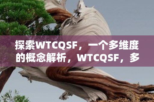 一个多维度的概念解析图片