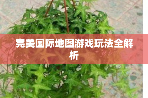 完美国际地图游戏玩法全解析图片