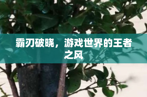 游戏世界的王者之风图片