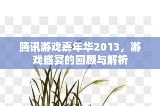 腾讯游戏嘉年华2013,游戏盛宴的回顾与解析 腾讯游戏嘉年华2013,游戏盛宴的回顾与解析