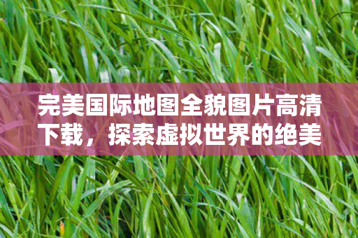 完美国际地图全貌图片高清下载图片
