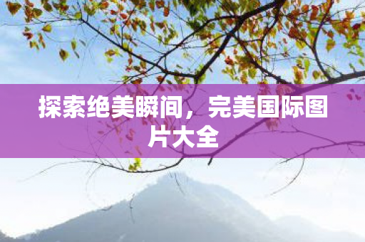 探索绝美瞬间,完美国际图片大全 探索绝美瞬间,完美国际图片大全