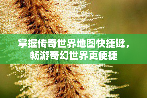 掌握传奇世界地图快捷键图片