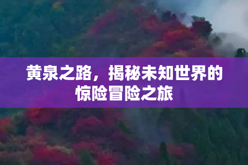 黄泉之路,揭秘未知世界的惊险冒险之旅 黄泉之路,揭秘未知世界的惊险冒险之旅