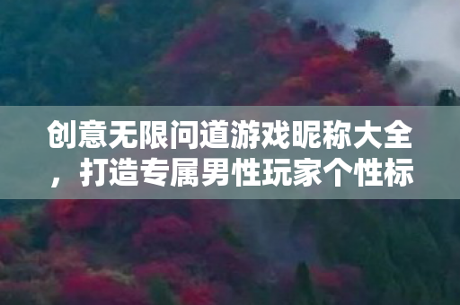 创意无限问道游戏昵称大全图片