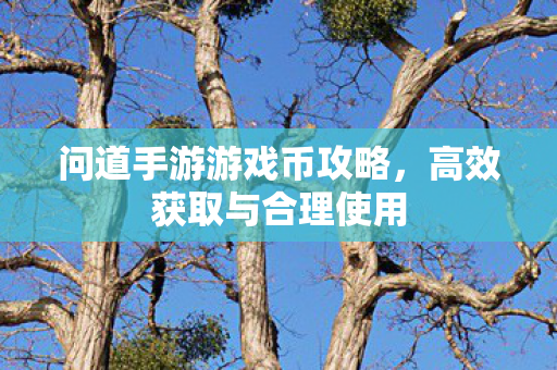 问道手游游戏币攻略图片