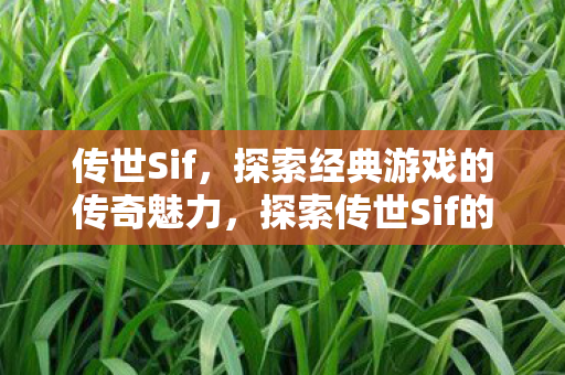 探索传世Sif的传奇魅力图片