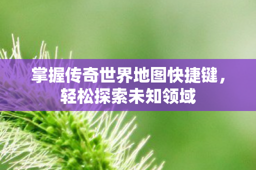 掌握传奇世界地图快捷键图片
