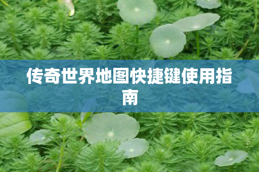 传奇世界地图快捷键使用指南图片