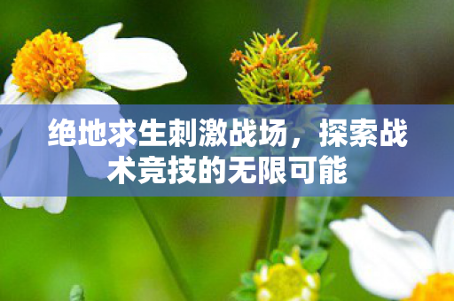探索战术竞技的无限可能图片