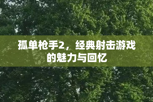 经典射击游戏的魅力与回忆图片
