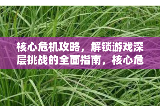 解锁游戏深层挑战的全面指南图片