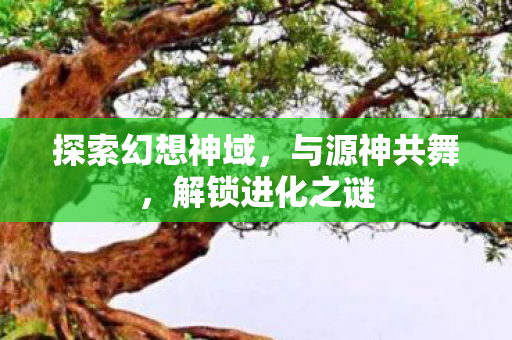 探索幻想神域图片