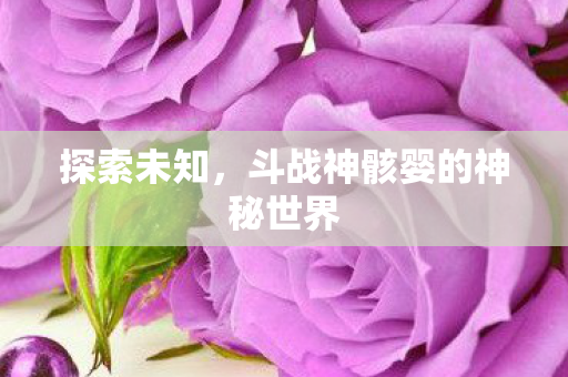 斗战神骸婴的神秘世界图片