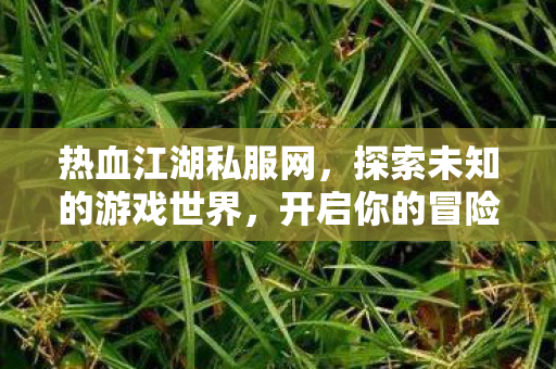 热血江湖私服网，探索未知的游戏世界，开启你的冒险之旅！