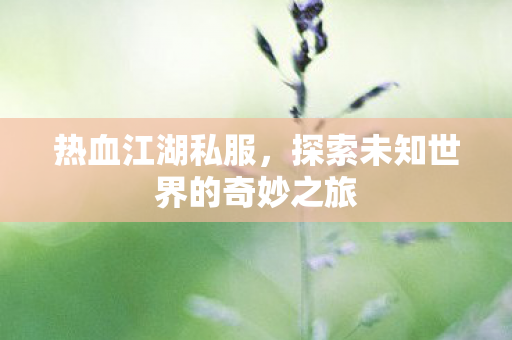 热血江湖私服，探索未知世界的奇妙之旅