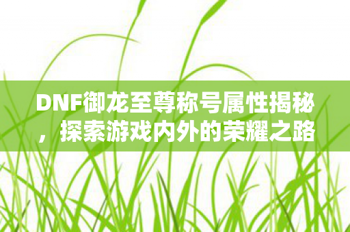 DNF御龙至尊称号属性揭秘图片