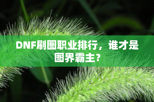 DNF刷图职业排行图片