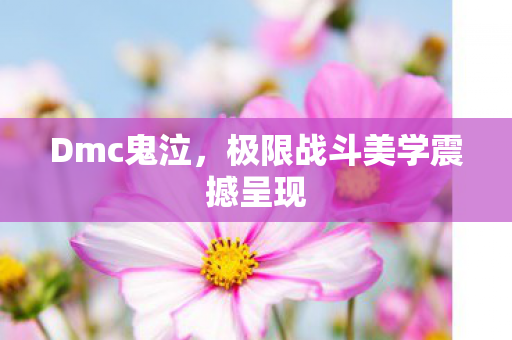 极限战斗美学震撼呈现图片