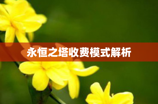 永恒之塔收费模式解析图片