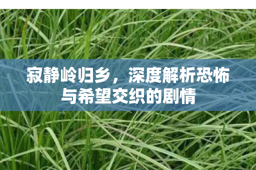 深度解析恐怖与希望交织的剧情图片