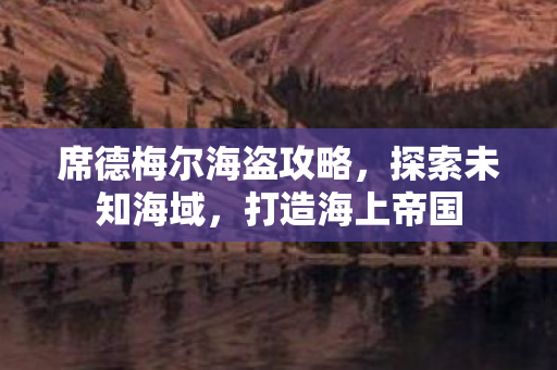 席德梅尔海盗攻略图片