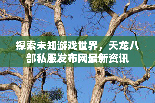 天龙八部私服发布网最新资讯图片