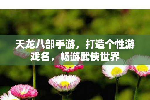 天龙八部手游,打造个性游戏名,畅游武侠世界 天龙八部手游,打造个性游戏名,畅游武侠世界