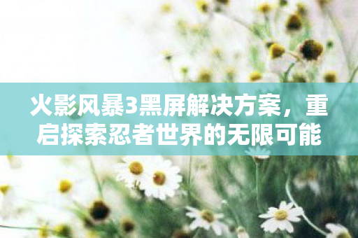重启探索忍者世界的无限可能图片