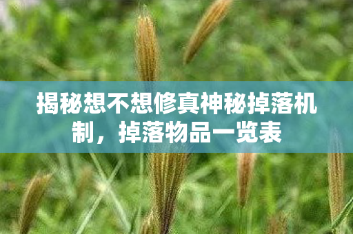 揭秘想不想修真神秘掉落机制图片