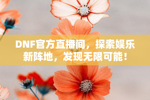 DNF官方直播间图片